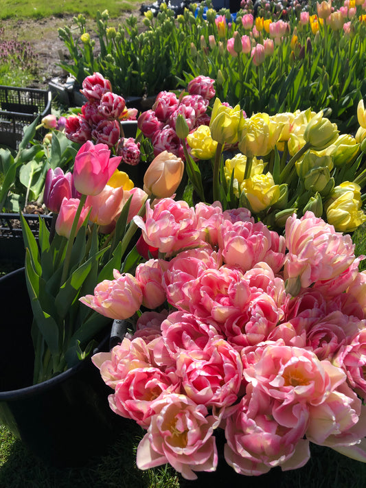 Donation / Become a Farm Sponsor