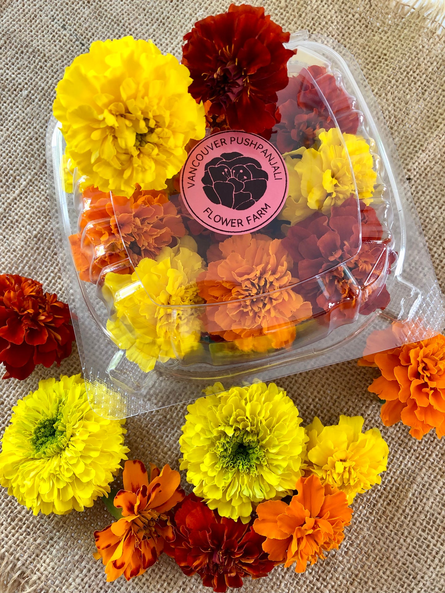 Pushpa Flowers Box - Marigolds