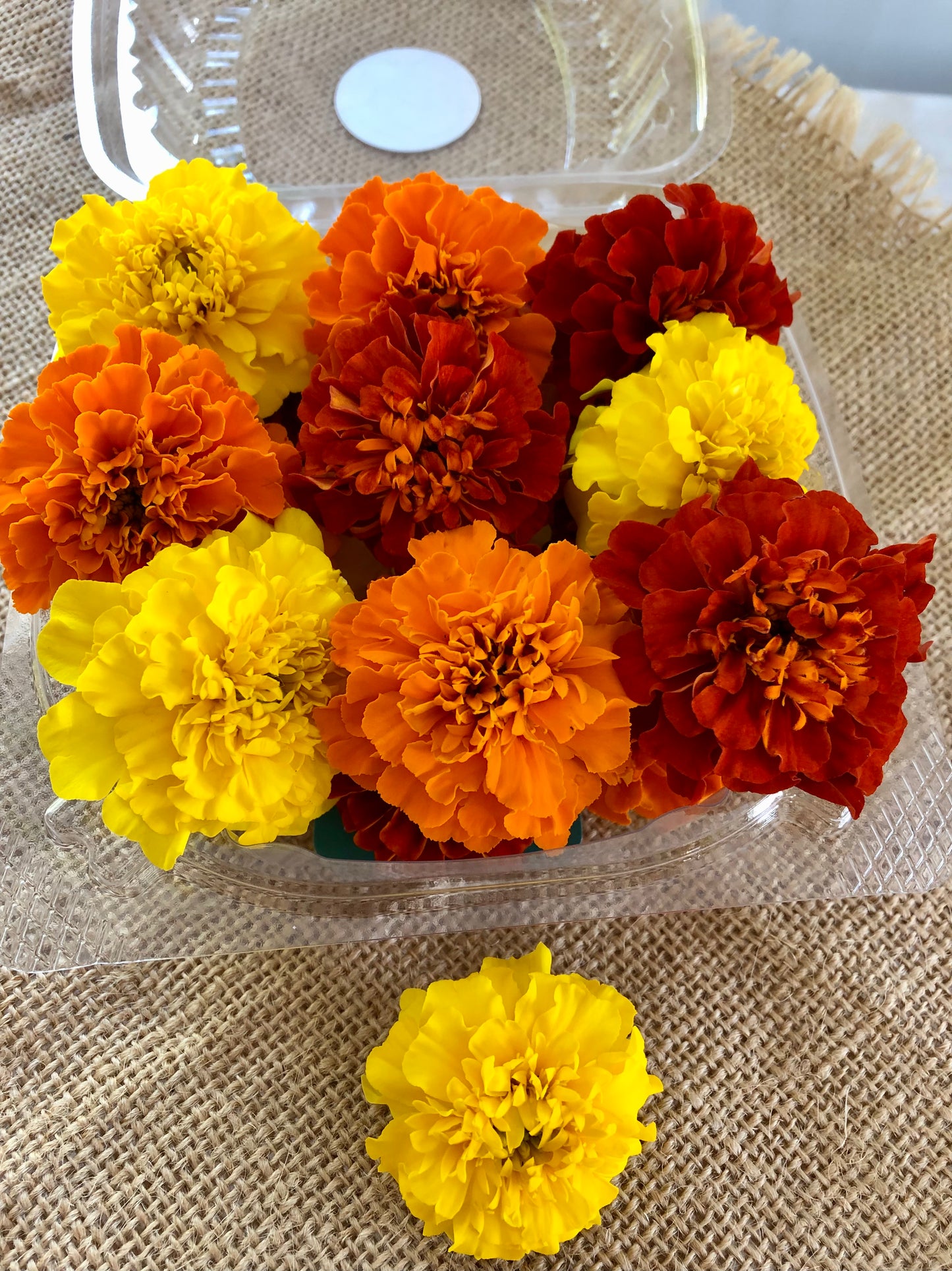 Pushpa Flowers Box - Marigolds