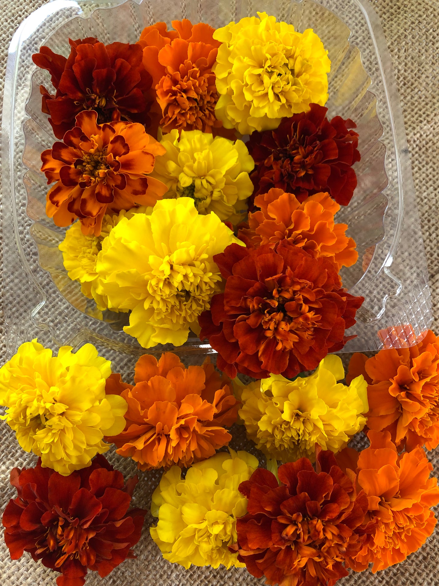 Pushpa Flowers Box - Marigolds