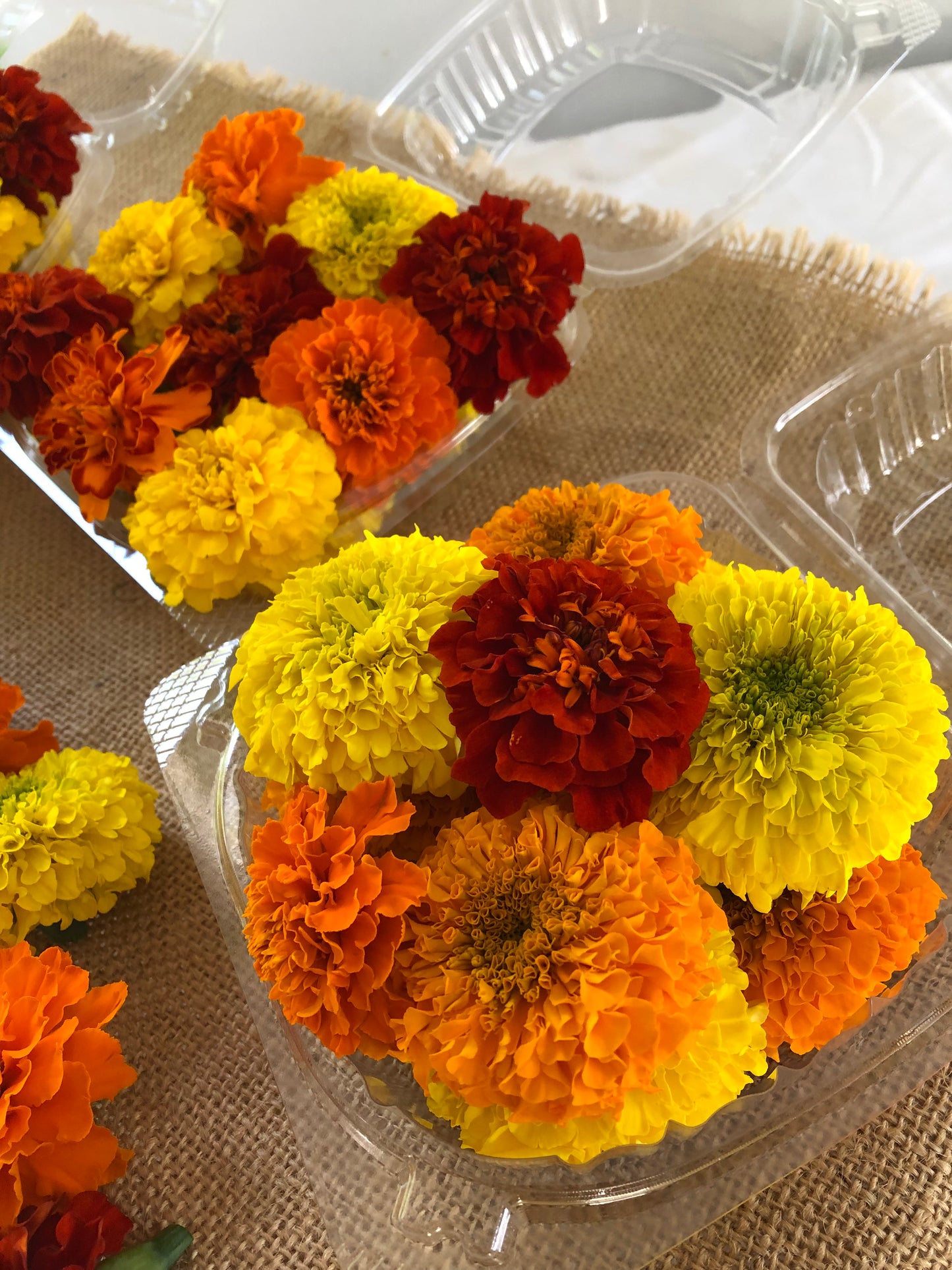 Pushpa Flowers Box - Marigolds