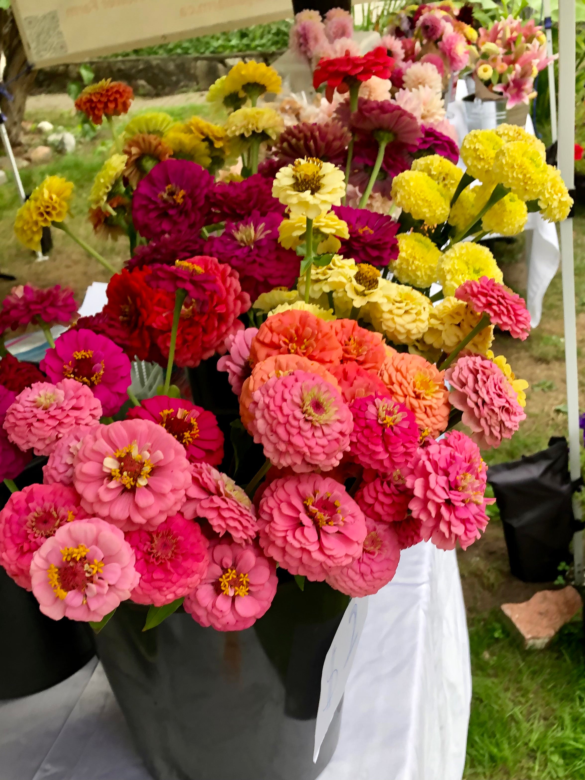 Flower Subscription - 2026 – Vancouver Pushpanjali Flower Farm