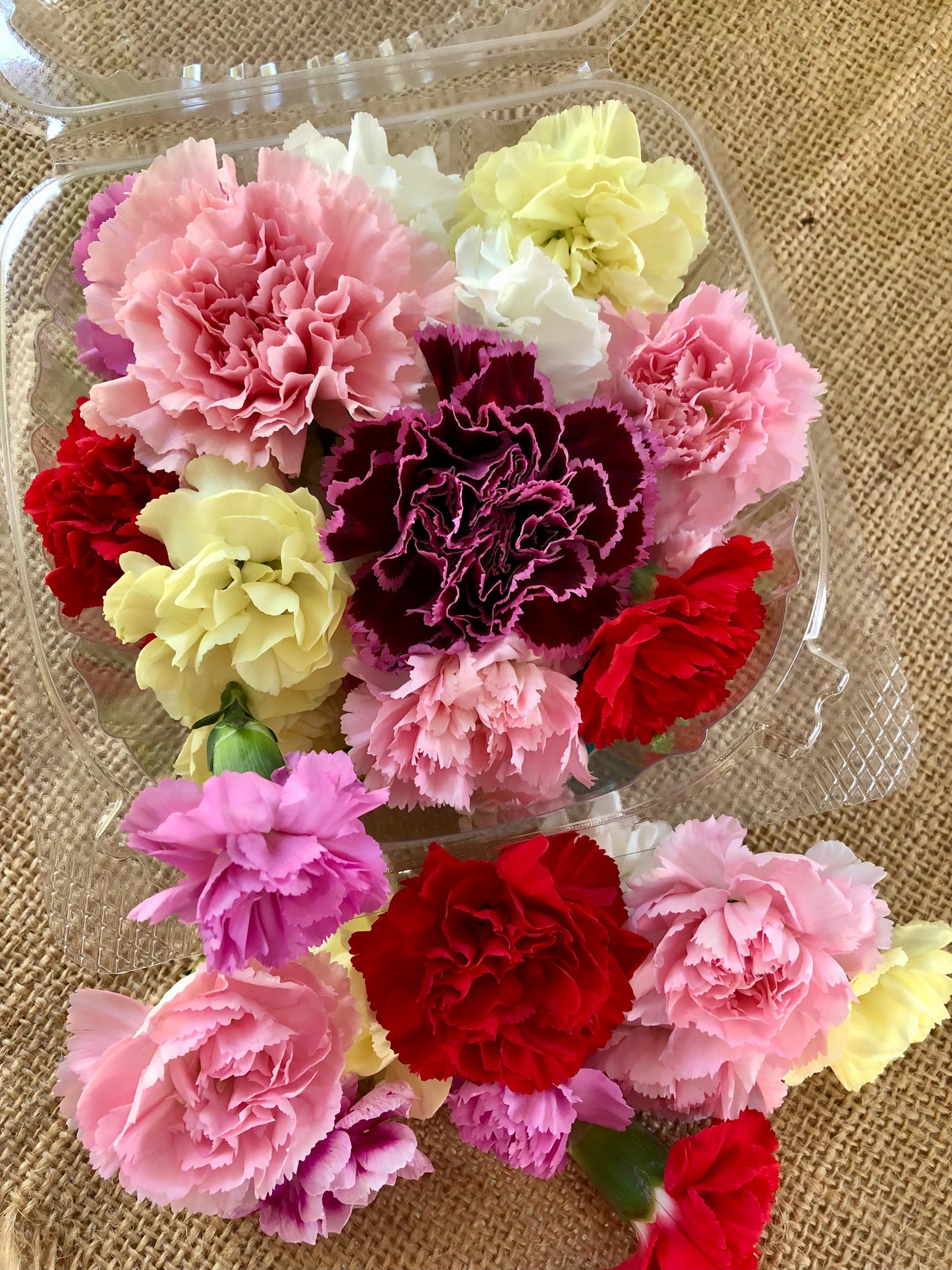 Pushpa Flowers Box - Carnations