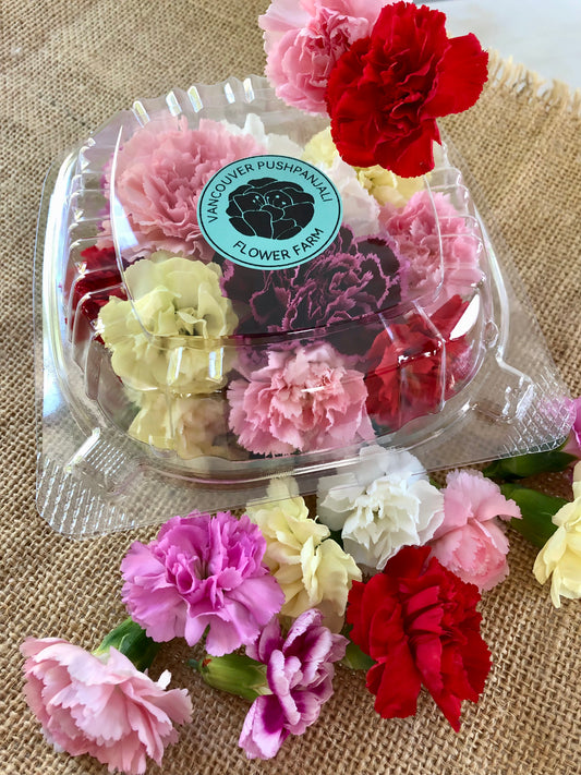 Pushpa Flowers Box - Carnations