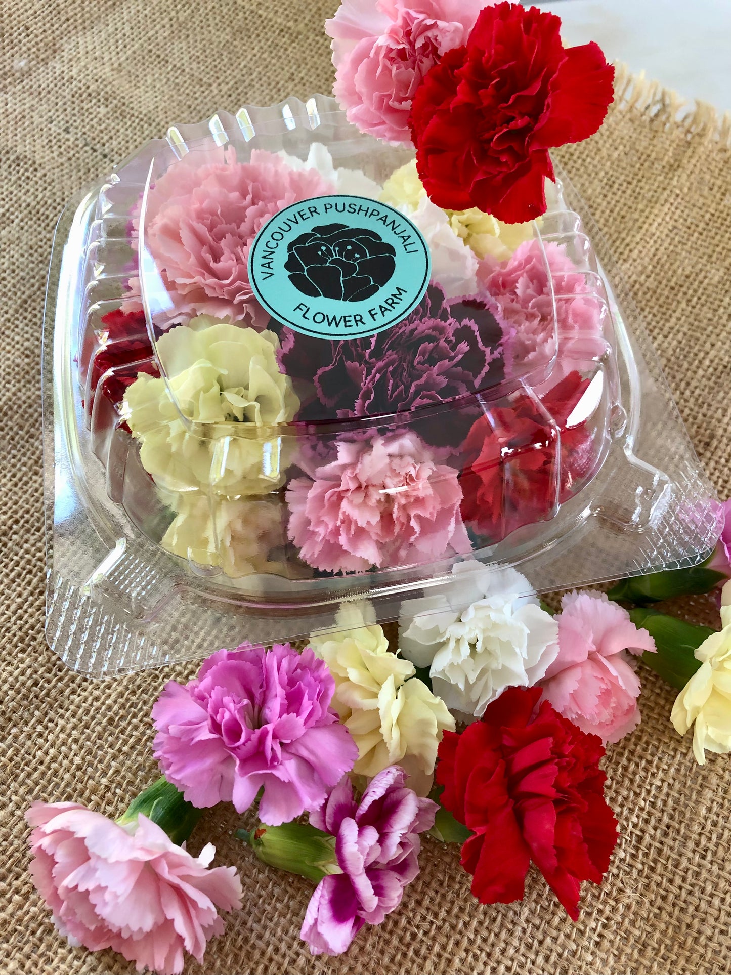 Pushpa Flowers Box - Carnations
