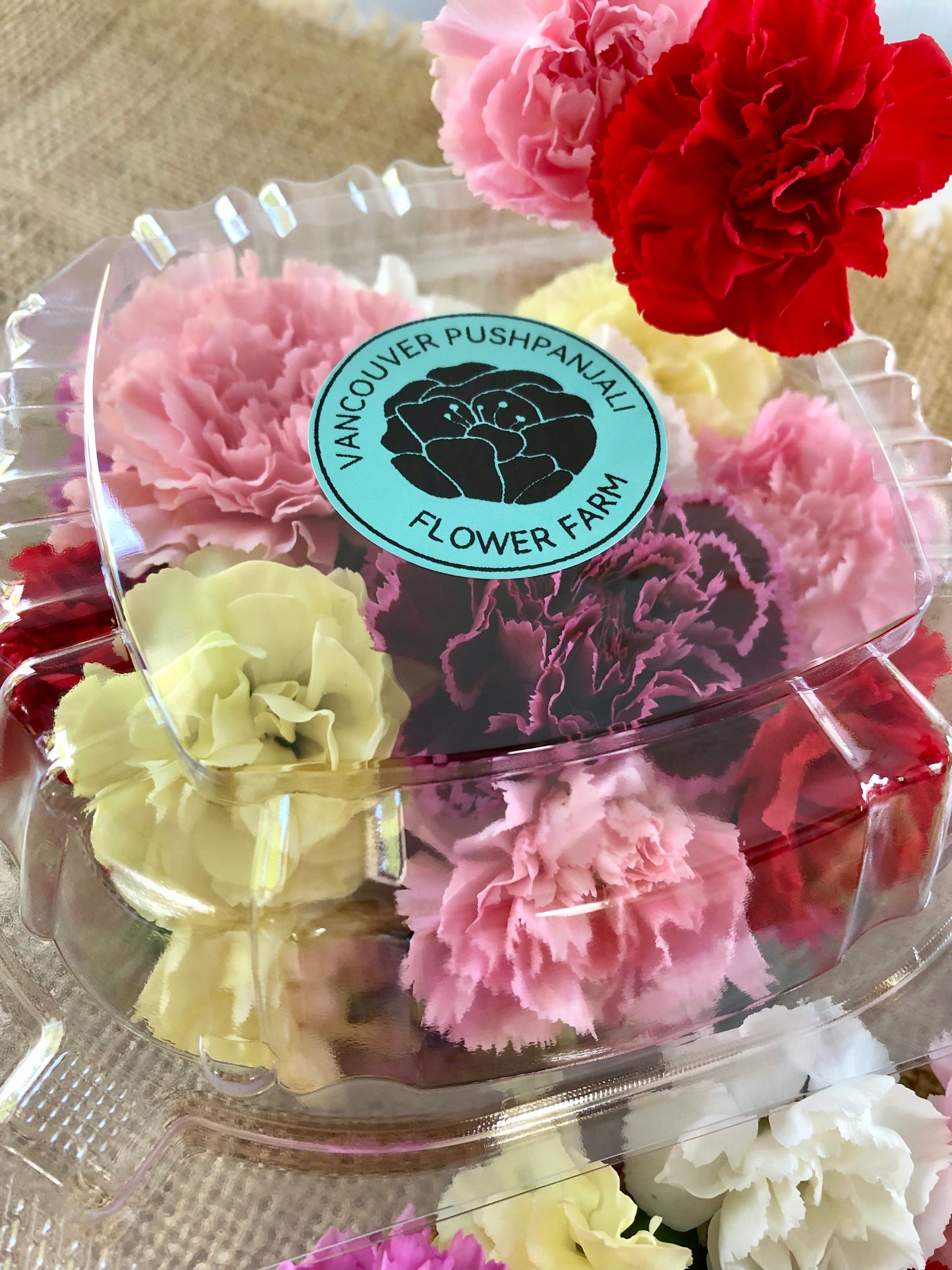 Pushpa Flowers Box - Carnations