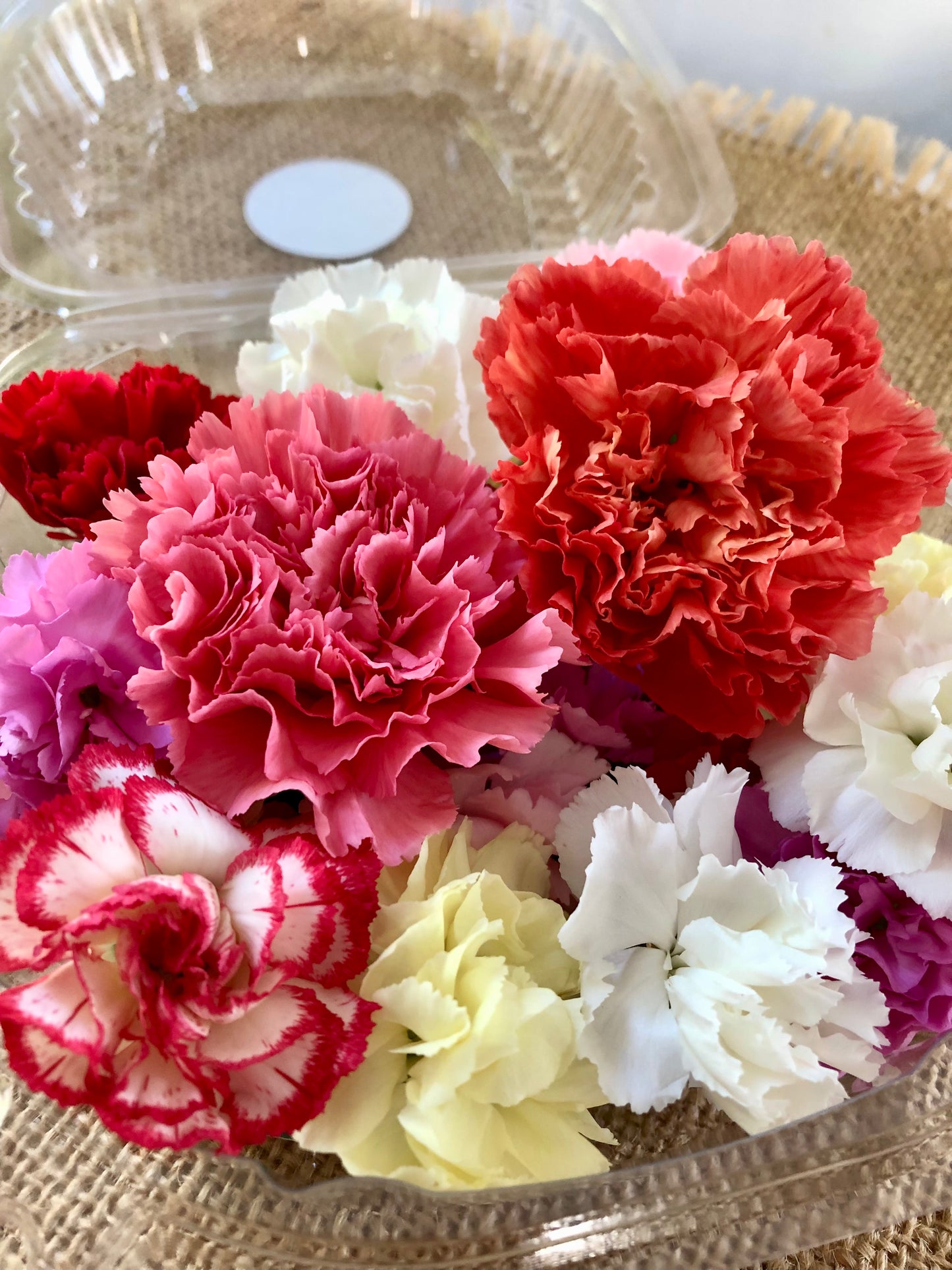 Pushpa Flowers Box - Carnations