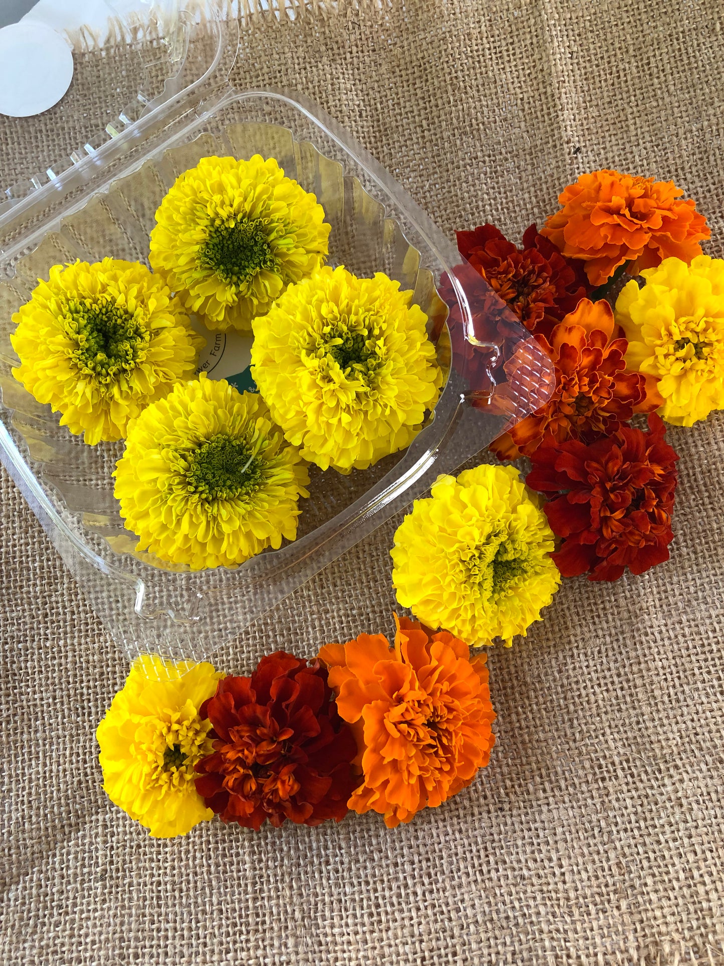 Pushpa Flowers Box - Marigolds