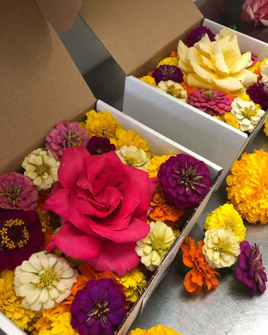 Pushpa Flowers Box - 2024