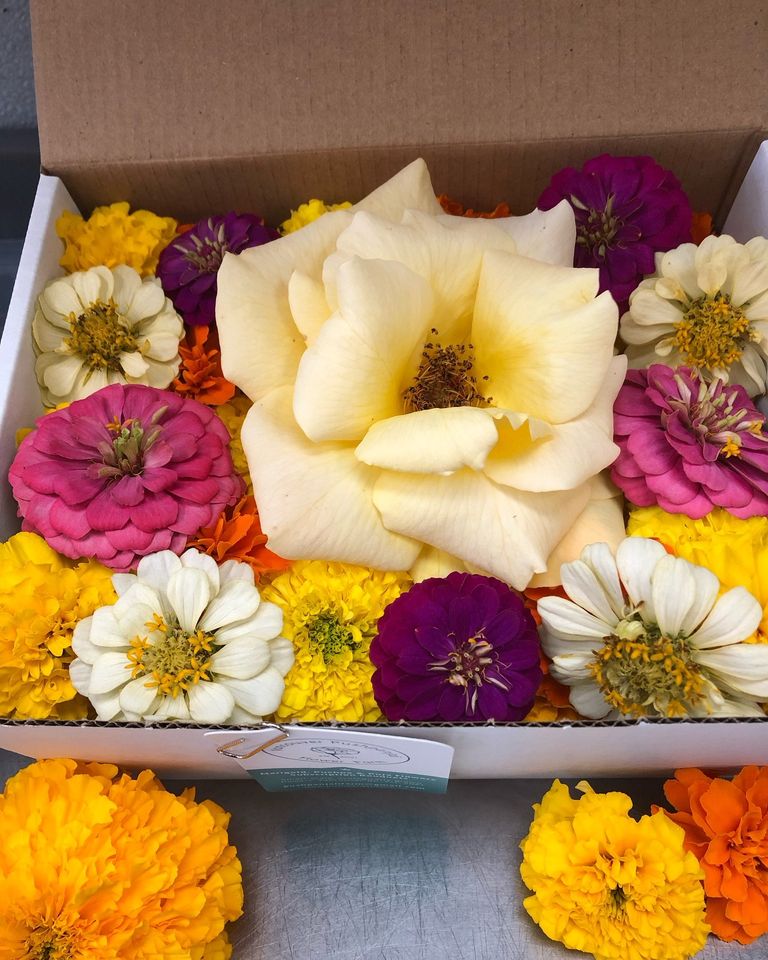 Pushpa Flowers Box - 2024