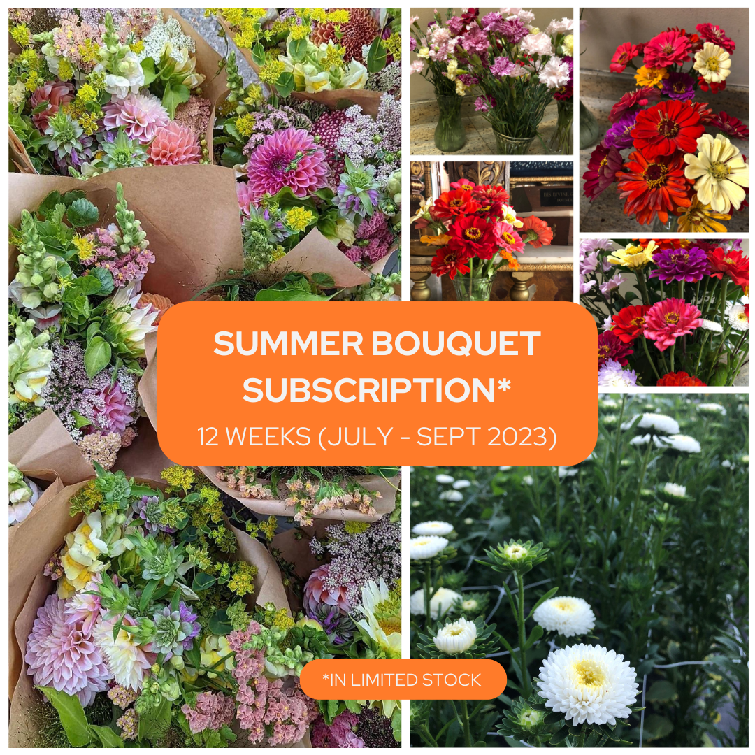 Summer Bouquet Subscription - 2023
